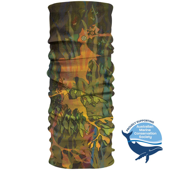 Leafy Sea Dragon