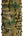Multicam