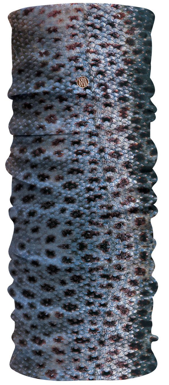 Ocean Trout