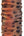Orange Trout