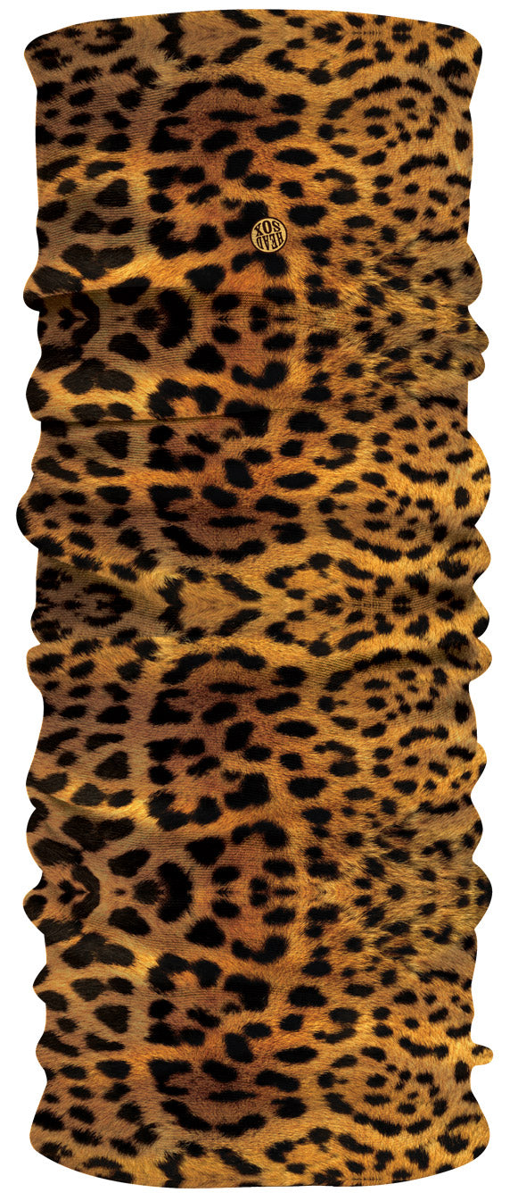 Wild Leopard